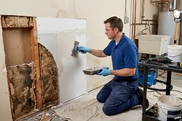 Mold and Drywall Repair Anaheim