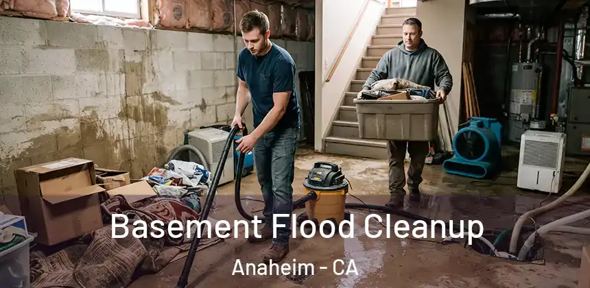Basement Flood Cleanup Anaheim - CA
