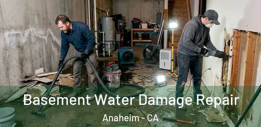  Basement Water Damage Repair Anaheim - CA