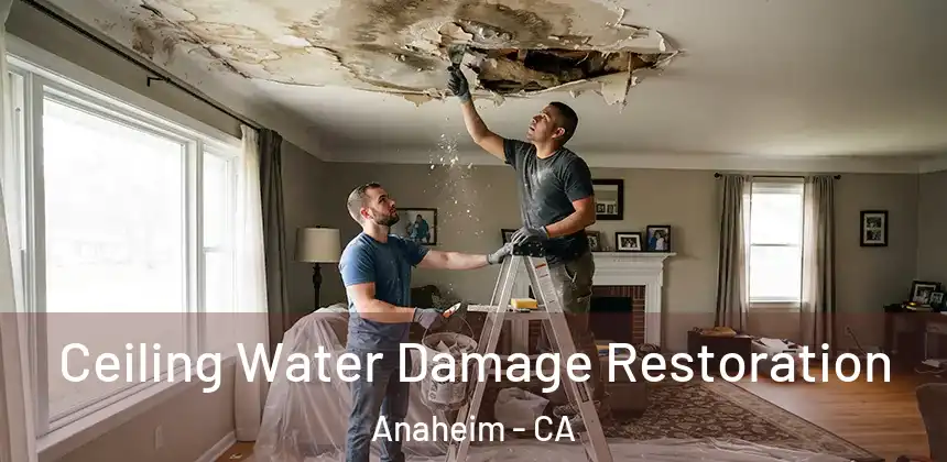  Ceiling Water Damage Restoration Anaheim - CA