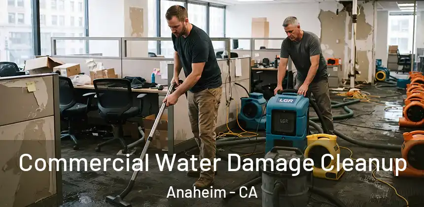  Commercial Water Damage Cleanup Anaheim - CA