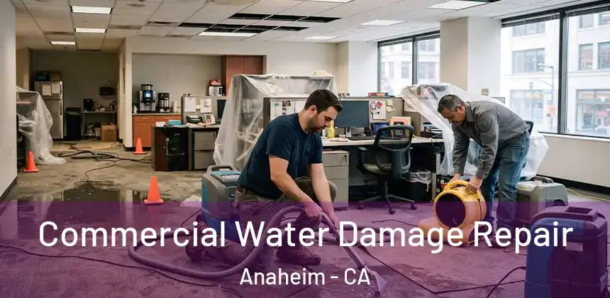 Commercial Water Damage Repair Anaheim - CA
