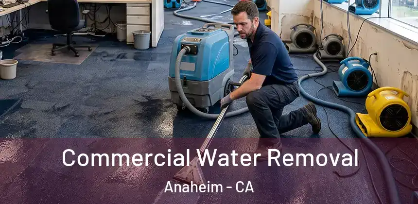  Commercial Water Removal Anaheim - CA