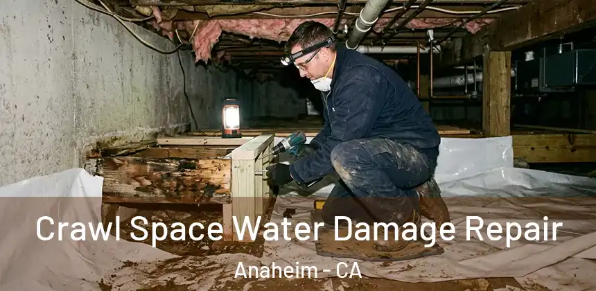  Crawl Space Water Damage Repair Anaheim - CA
