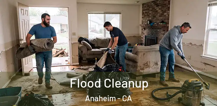  Flood Cleanup Anaheim - CA