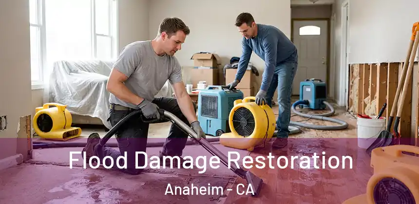  Flood Damage Restoration Anaheim - CA