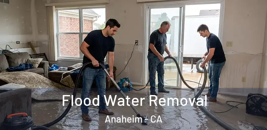  Flood Water Removal Anaheim - CA