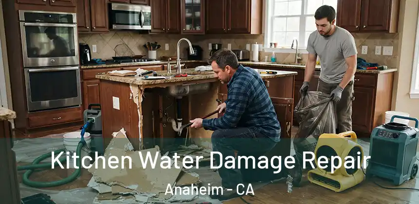 Kitchen Water Damage Repair Anaheim - CA