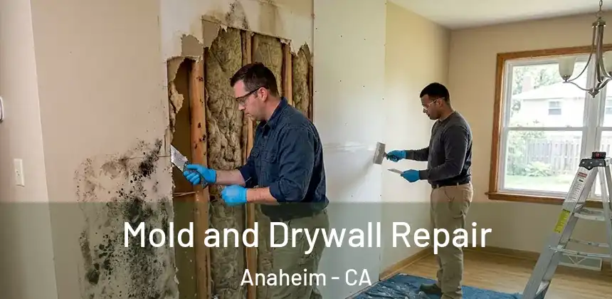  Mold and Drywall Repair Anaheim - CA