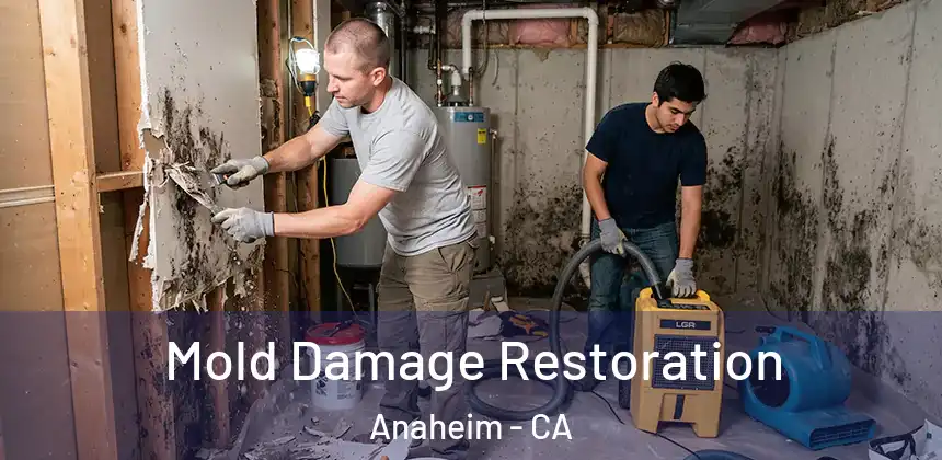  Mold Damage Restoration Anaheim - CA
