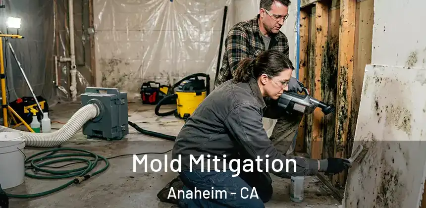 Mold Mitigation Anaheim - CA