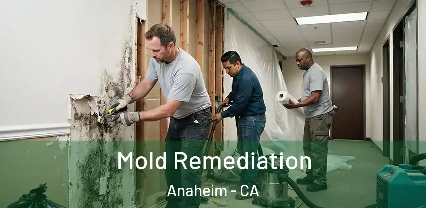 Mold Remediation Anaheim - CA