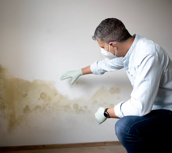 Mold Removal Service in Anaheim, CA