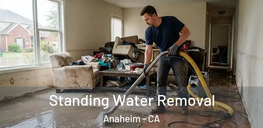  Standing Water Removal Anaheim - CA