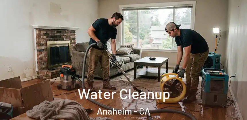 Water Cleanup Anaheim - CA