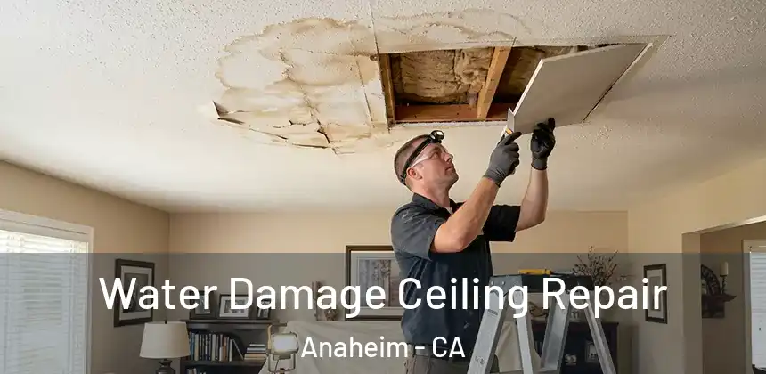  Water Damage Ceiling Repair Anaheim - CA