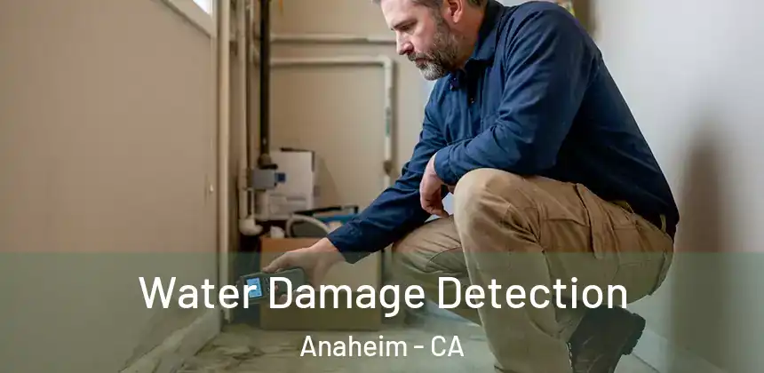  Water Damage Detection Anaheim - CA