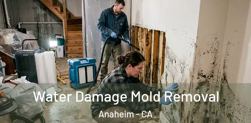  Water Damage Mold Removal Anaheim - CA