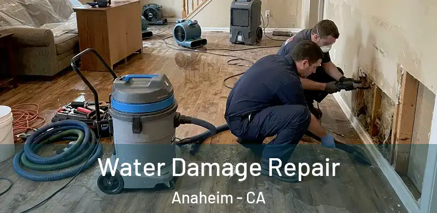 Water Damage Repair Anaheim - CA