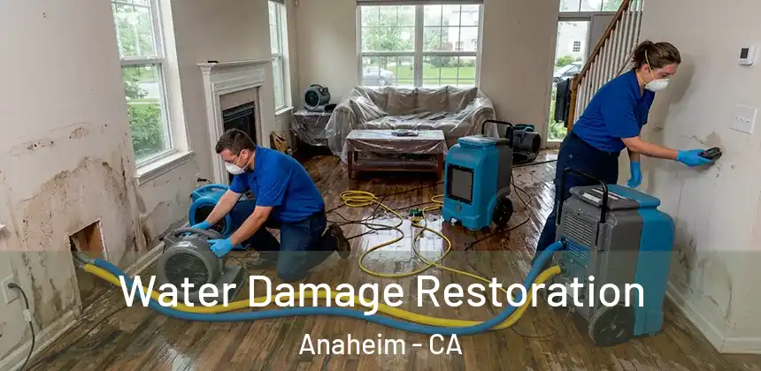  Water Damage Restoration Anaheim - CA