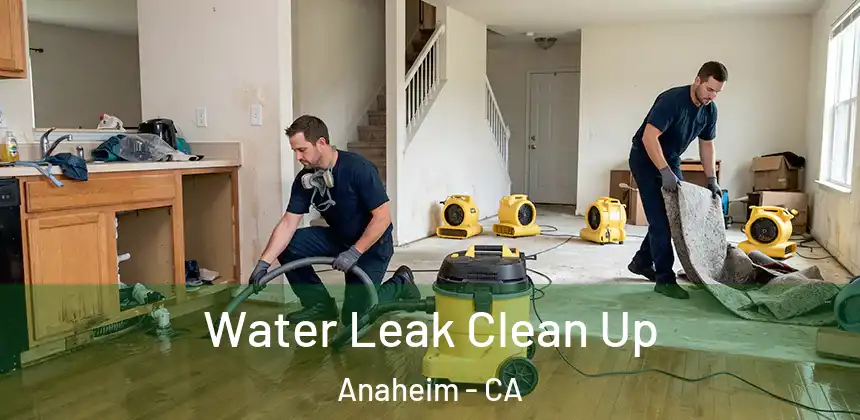 Water Leak Clean Up Anaheim - CA