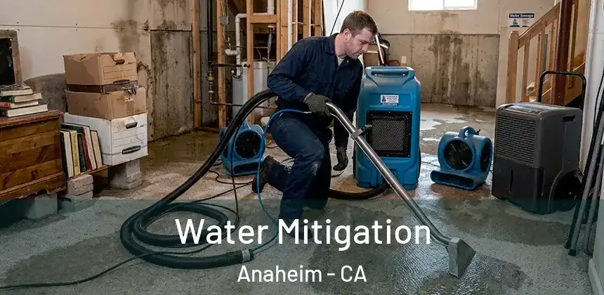  Water Mitigation Anaheim - CA