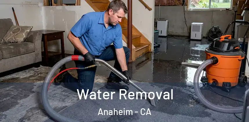 Water Removal Anaheim - CA