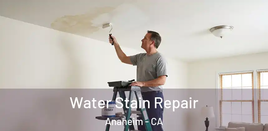  Water Stain Repair Anaheim - CA